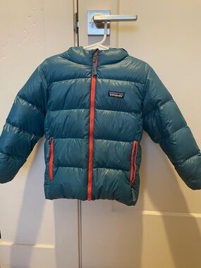 Patagonia Hi-Loft Down Hoodie
